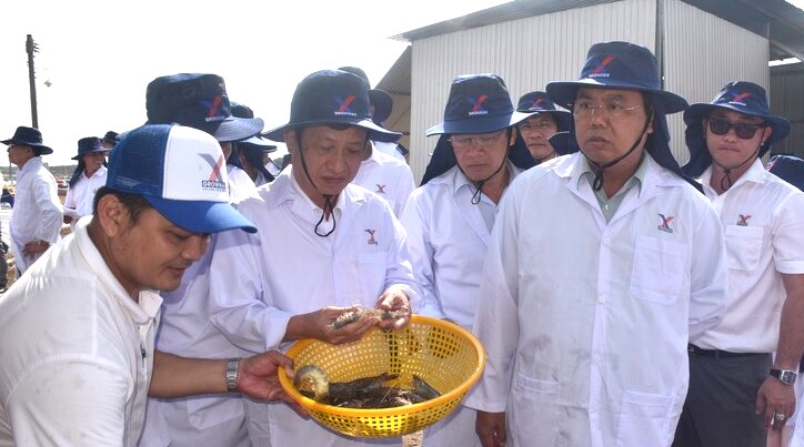 Tập đoàn Growmax sẽ đầu tư khu phức hợp nuôi tôm, nhà máy thức ăn, sản xuất tôm giống, xuất khẩu… tại huyện Đông Hải, tỉnh Bạc Liêu.